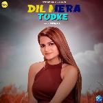 Dil Mera Tod Ke